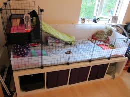 Guinea Pig Cage Ikea Google Search Best Guinea Pig Board Pinterest Meerschweinchen Und Tiere