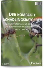Trauermucken Mit Hausmitteln Bekampfen Diese Tricks Helfen Wirklich Plantura In 2020 Engerlinge Pflanzen Sternrusstau