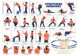 58 Particular Stretching Exercises Chart