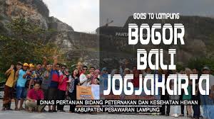 Sementara, materi skb untuk jabatan pelaksana yang bersifat teknis dapat menggunakan soal skb yang bersesuaian atau masih satu rumpun dengan jabatan fungsional terkait. 27 Contoh Soal Skb Bidang Peternakan Contoh Soal Terbaru