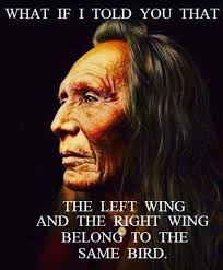 Indigenous perspective