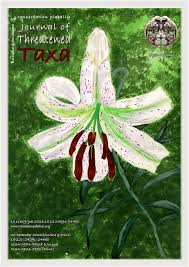 Image result for Empogona cacondensis