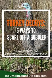 Find Out How Turkey Decoys Can Actually Hurt You In The Field And Scare Away That Big Gobbler Plus Download A Free Guide T Turkey Hunting Hunting Fishing Tips
