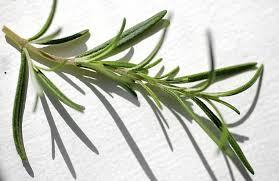 Upcoming herb festivals offer variety of plants, fun. Upcoming Herb Festivals Offer Variety Of Plants Fun Food Cooking Tulsaworld Com