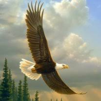 Tribute for Earl W. Faught (Services)