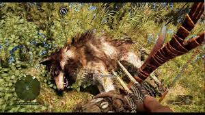 Skins carcasses and gathers resources after a kill uncovers and gathers nearby resources when the rare stripe wolf has more spikes in its fur and has a stripe on its face, use your hunter sense. Far Cry Primal Rare Stripe Wolf Location Easy Hunting With Double Bow And Brown Bear Youtube