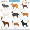 Our german shepherds are akc registered, healthy, and just simply beautiful full blooded german shepherds. 1