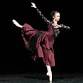 The Nutcracker
