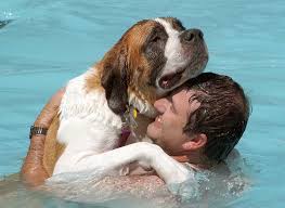 Owens joined the cancel culture movement against teigen after it was revealed that the cookbook author. Otus The Head Cat Kthv S Creature Comforts Bring In New Talent