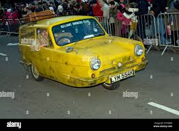 Image result for Jasmine Yellow 1994 Reliant