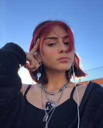 Saith My He A Rt Aesthetic Hair Hair Color Streaks Hair Streaks