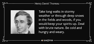 Top 14 Stormy Weather Quotes A Z Quotes