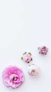 Minimal White Pink Floral Flowers Iphone Wallpaper Phone Background Lock Screen Flower Phone Wallpaper Iphone Wallpaper Iphone Lockscreen Wallpaper