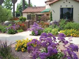 Illustrated list of 64 annual and perennial flowers that will save you water. Drought Tolerant Landscaping City Of Redlands