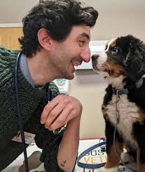 Veterinarians in Boothbay