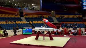 SUN Wei (CHN) - 2018 Artistic Worlds, Doha (QAT) - Qualifications Pommel  Horse - YouTube