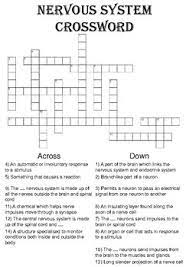 Ask a parent to help you create a username and password. Biology Crossword Puzzle The Nervous System Includes Answer Key