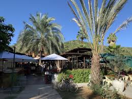 Flora farms is a unique farm to table experience in mexico. The Mary Buffet Travels Flora Farms San Jose Del Cabo New Year 2020