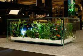 Makas paralelisme adalah bentuk majas perulangan yang biasanya hanya digunakan untuk penegasan makna frase. 8 Bentuk Aquarium Hias Yang Populer Dijual Sekarang Ini