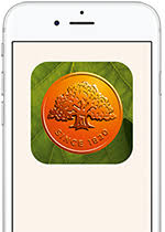 Självklart skulle jag kontakta min bank istället för att skriva. Mobile Bank Manage Your Economy In The Private App Swedbank