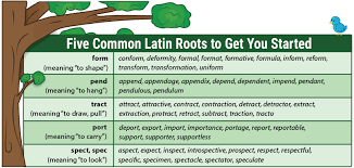 Teach Latin Roots With Word Trees Free Download And Video