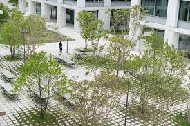 roche campus kaiseraugst landezine international landscape award lila campus landscape green architecture paving design