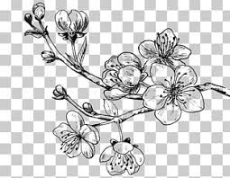 If you're looking for cute ideas, then try to. Cherry Blossom Tattoo Drawing Png Clipart Art Artwork Black And White Blossom Branch Free Png Download