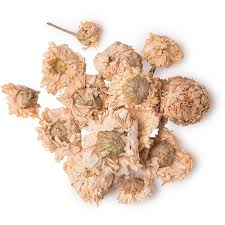 3 4 5 it is used in aromatherapy in the belief it is a calming agent to reduce stress and promote sleep. Dried Roman Chamomile Flowers Lush Fresh Handmade Cosmetics