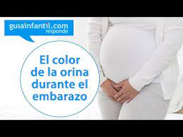 Cambios En El Color De La Orina En La Mujer Durante El Embarazo