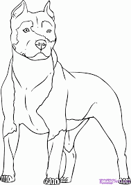 Get hold of these coloring sheets that are full of pictures and involve your kid in painting them. Pitbull Dog Coloring Pages Coloring Home