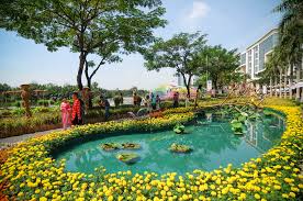 Image result for hoa xuan images