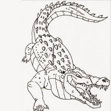 Even smiling alligators to color! Easy And Advanced Crocodile Coloring Pages 101 Coloring