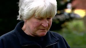 146 Adrian Pace Stock Videos, Footage, & 4K Video Clips