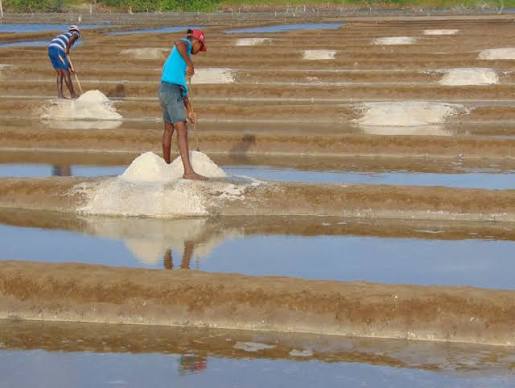 Salt of the earth — Whetstone Magazine