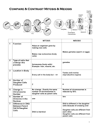 Mitosis Meiosis T Chart Answers Cgw Life Science