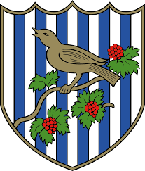 For download west brom fc logo, please select link West Bromwich Albion