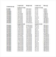 10 Free Ms Word Baby Weight Chart Template Download Free