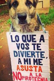 No A La Pirotecnia Amantes De Perros Perros Frases Animales Y Mascotas