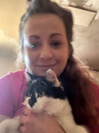 missing cat in perry utah, near w 2400 s