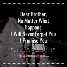 I Will Never Forget You Brother Quotes Brother Quotes Funny Siblings Funny Quotes