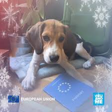 European union pet owners are now required to have pet passports when travelling with their animals. All I Want For Christmas Is Eu The European Commission Facebook