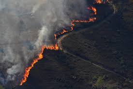 Currently 46 large fires have burned 691,067 acres in 12 states. Climate Change Is Creating Catastrophic Wildfires World Economic Forum