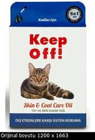 Kedi Ic Dis Parazit