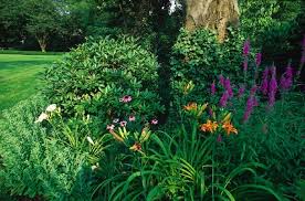 We did not find results for: Native Landscape Mchenry County Il