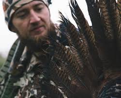 The Making of the Book Upland Matters in Film