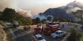 Tüm zaman aralıkları son 24 saat son 1 hafta son 1 ay son 1 yıl. Pu818zryxtv7fm