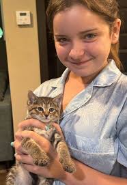 Choco the Macho Chihuahua...