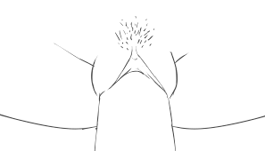 Rule34 US