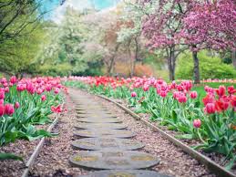 Raking scattered pine bark mulch back into flower beds. Choosing The Best Type Of Mulch For Your Flower Bed Home Garden Qctimes Com