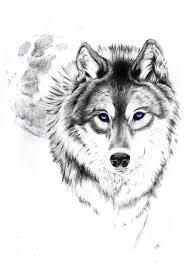 Black And White Wolf Tattoo Meaning Wolf Tattoo Designs The Body Is A Canvas Wolf Tattoo Design Wolf Tattoos Wolf Tattoo